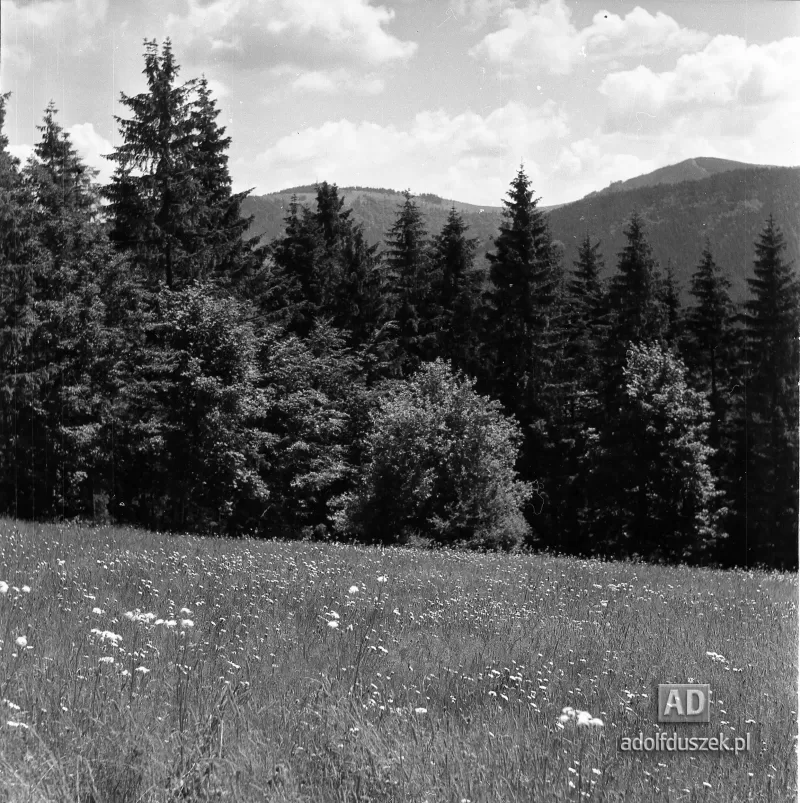 1953-Beskid-Zywiecki-086