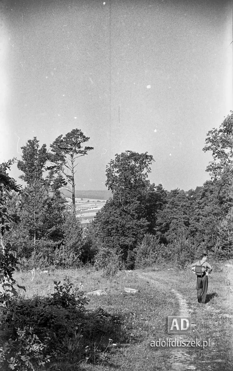 1953-Roztocze-Lubelskie-037