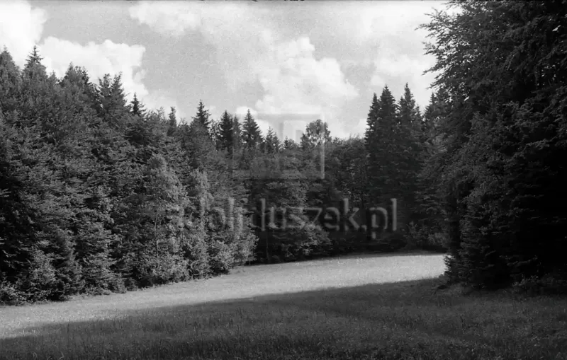 szwajcaria kaszubska-029