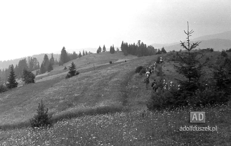 195X-Pieniny-018