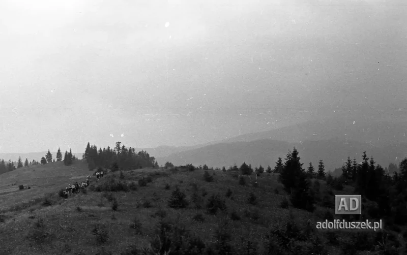 195X-Pieniny-021