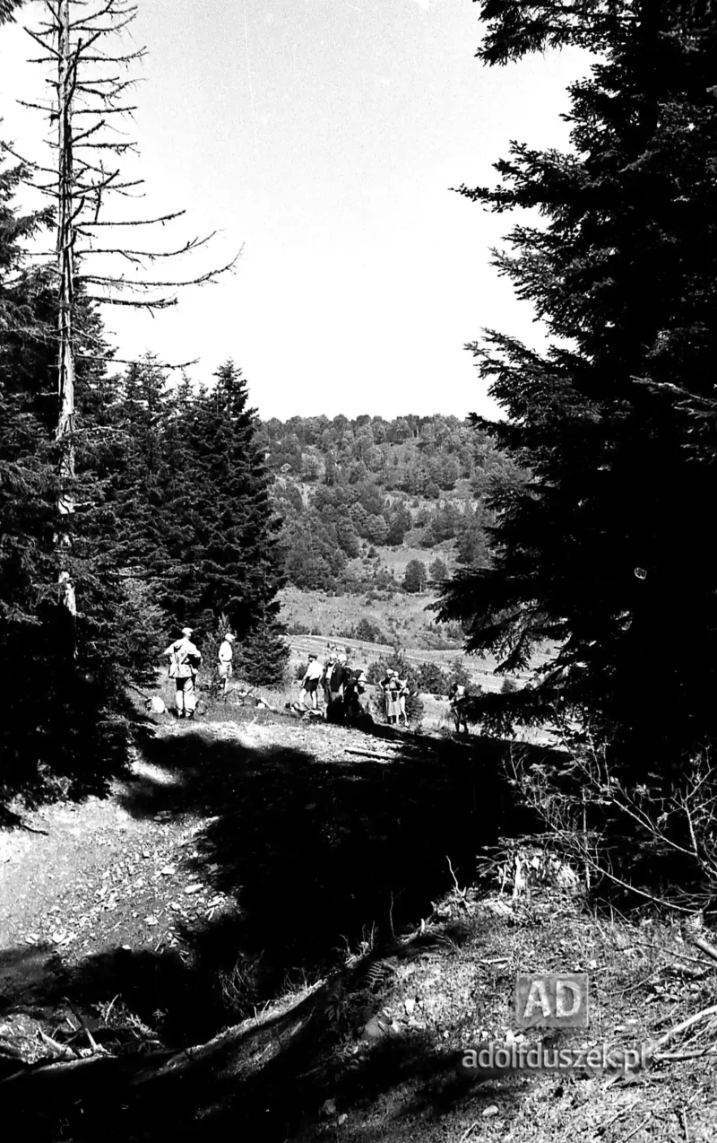 195X-Pieniny-060