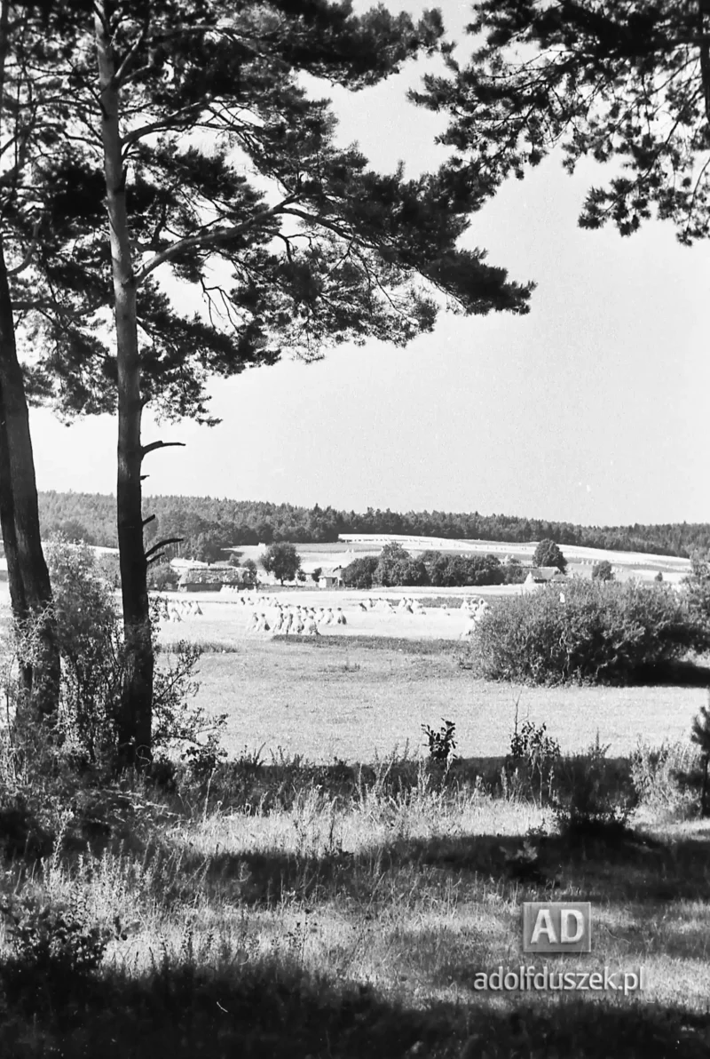 1953-Roztocze-Lubelskie-001
