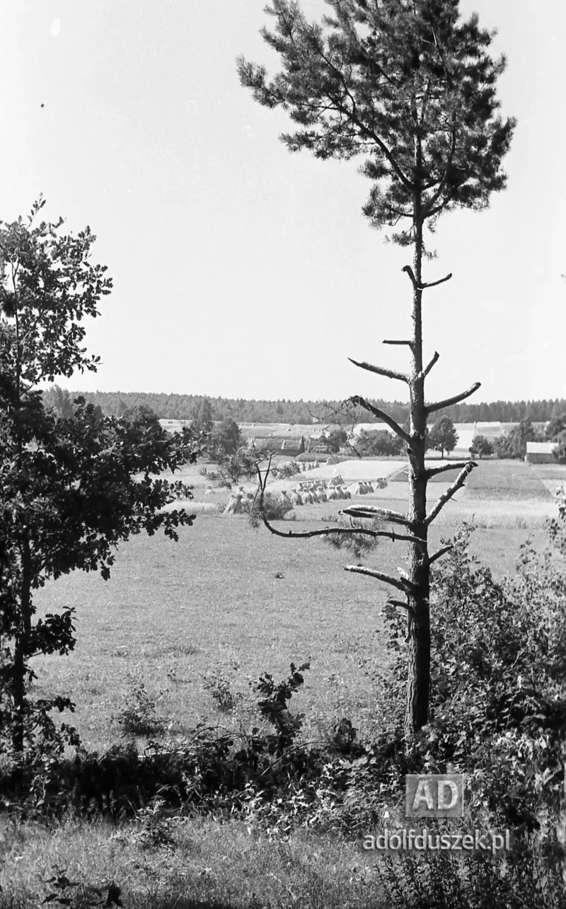 1953-Roztocze-Lubelskie-004