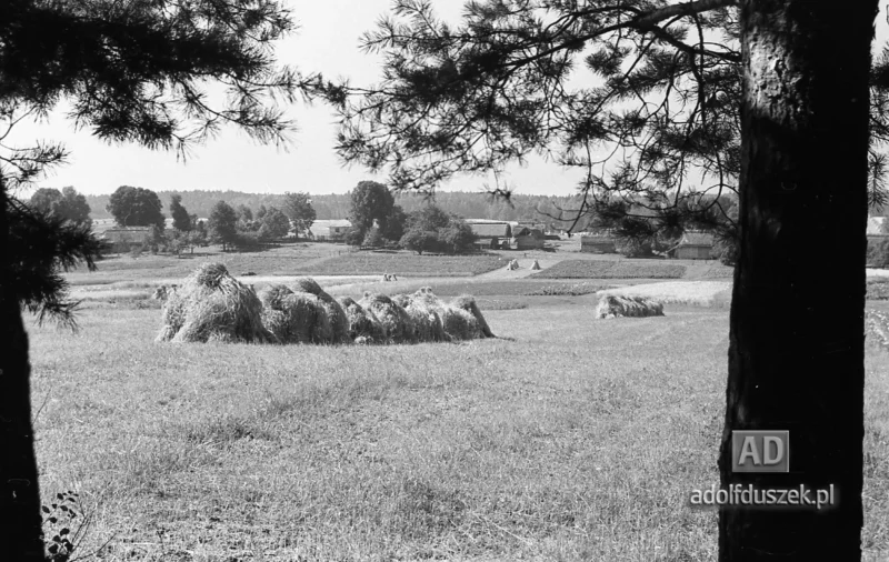 1953-Roztocze-Lubelskie-006
