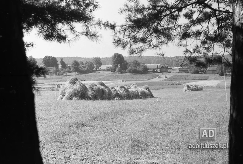 1953-Roztocze-Lubelskie-007