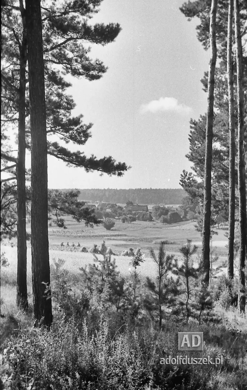 1953-Roztocze-Lubelskie-009
