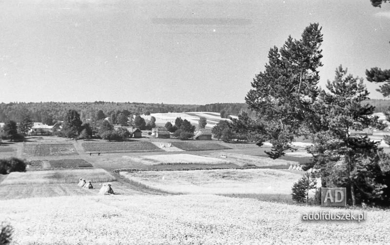 1953-Roztocze-Lubelskie-010