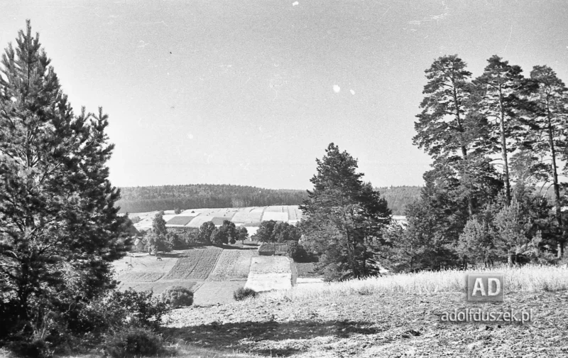 1953-Roztocze-Lubelskie-012