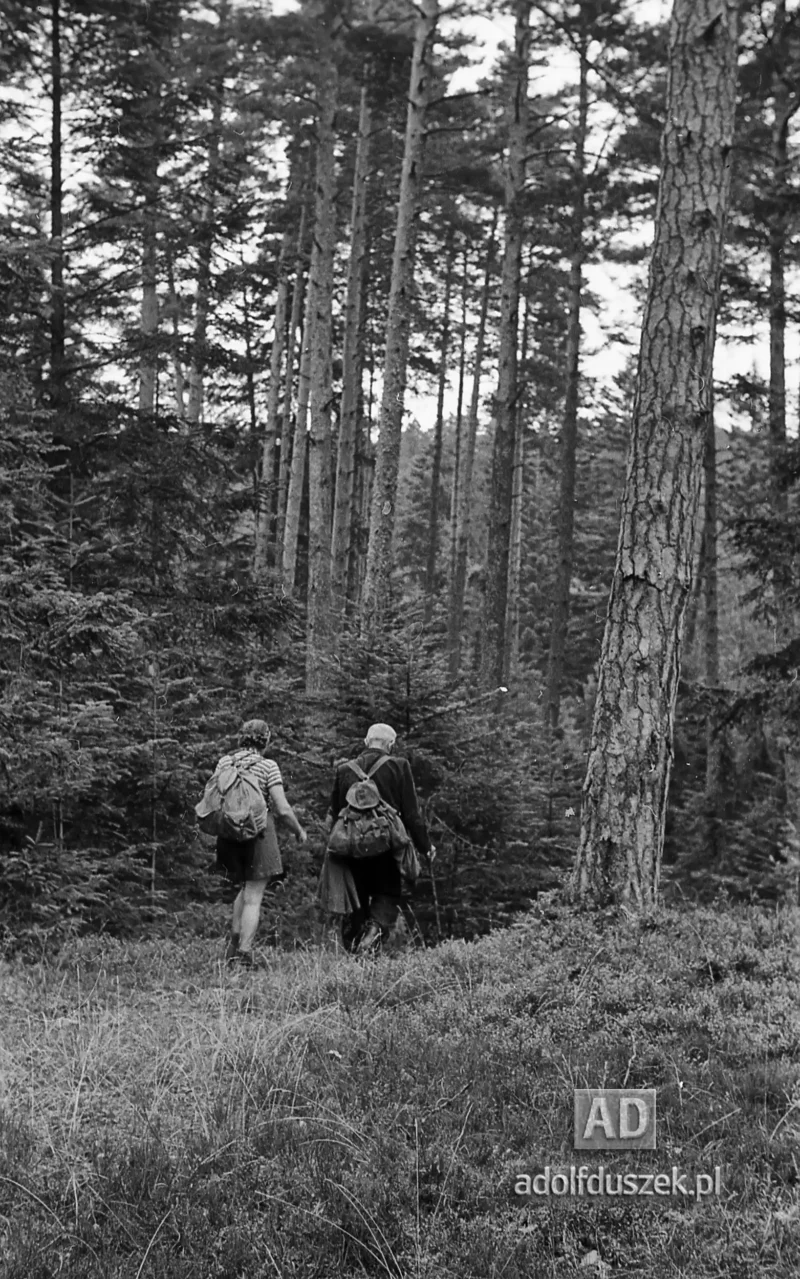 1953-Roztocze-Lubelskie-014
