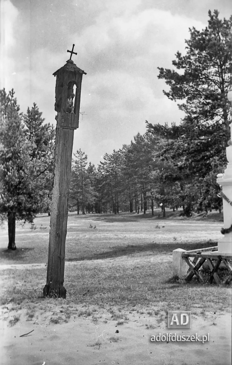 1953-Roztocze-Lubelskie-018