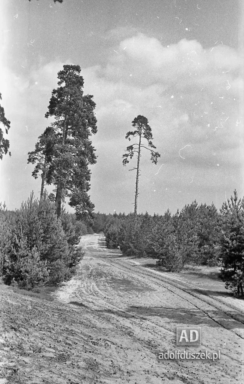 1953-Roztocze-Lubelskie-019