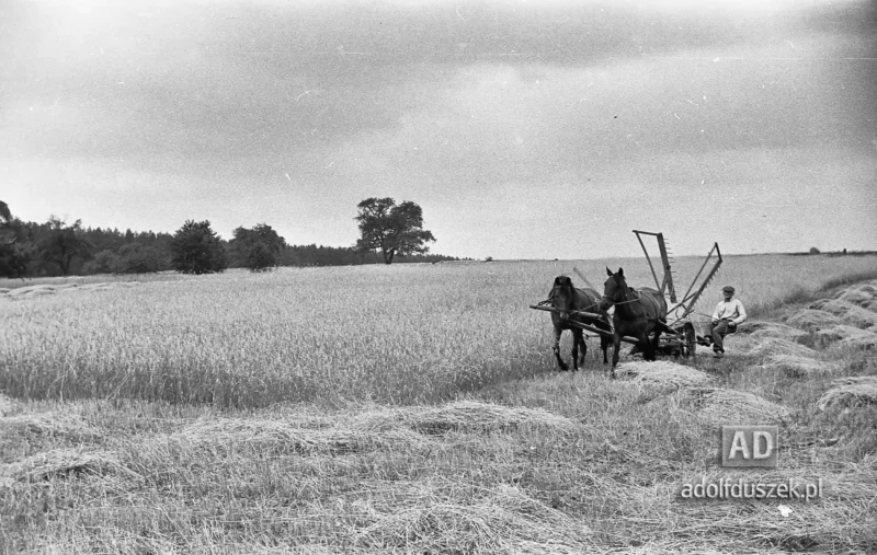 1953-Roztocze-Lubelskie-021