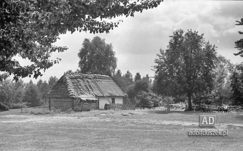 1953-Roztocze-Lubelskie-022