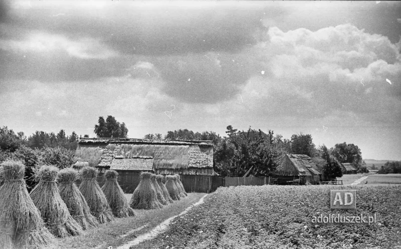 1953-Roztocze-Lubelskie-023