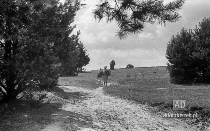 1953-Roztocze-Lubelskie-024