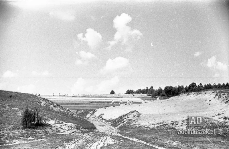 1953-Roztocze-Lubelskie-026