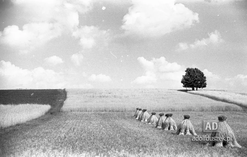 1953-Roztocze-Lubelskie-031