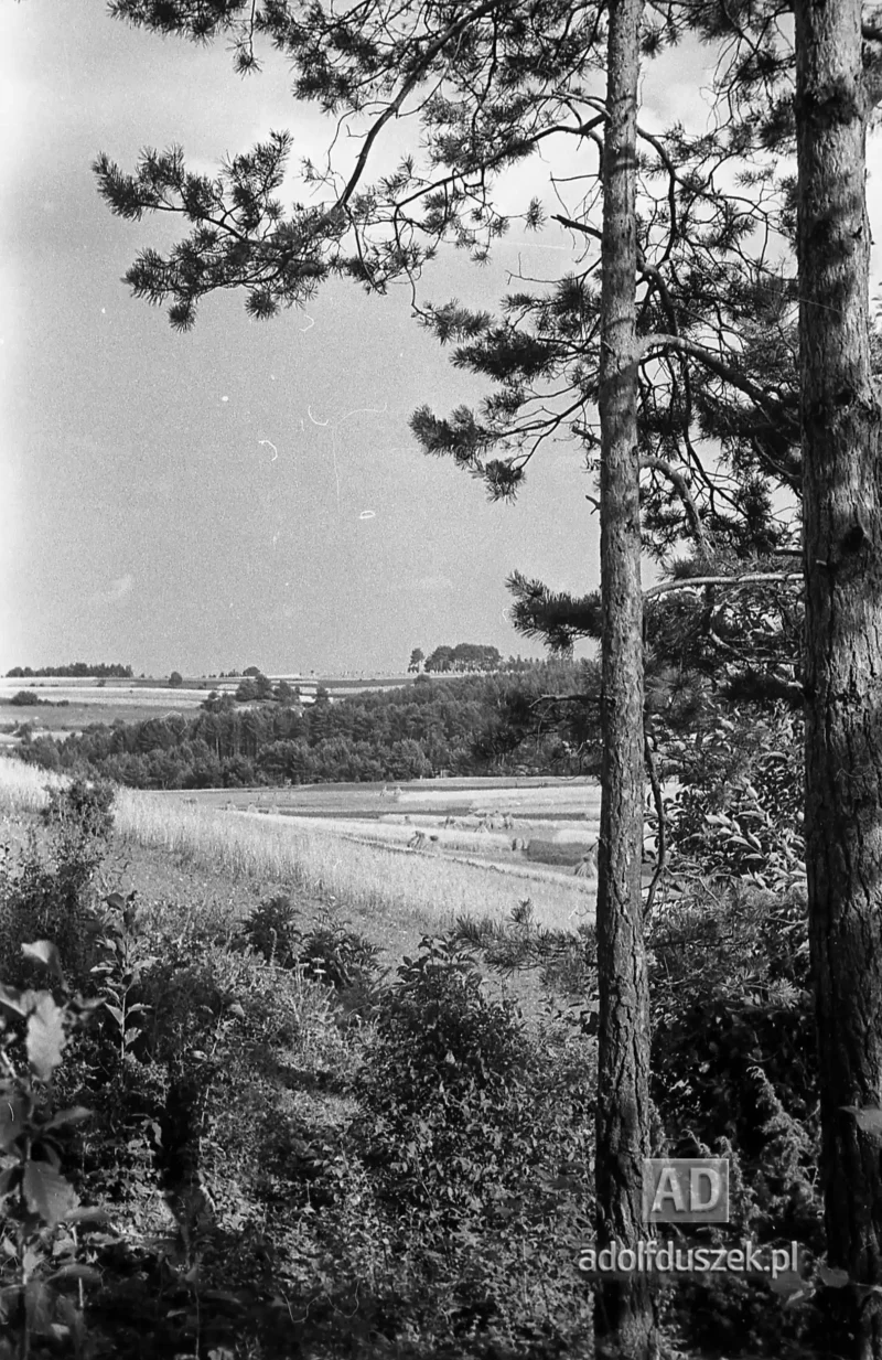 1953-Roztocze-Lubelskie-032