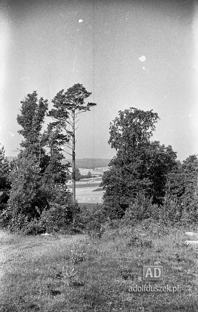 1953-Roztocze-Lubelskie-038