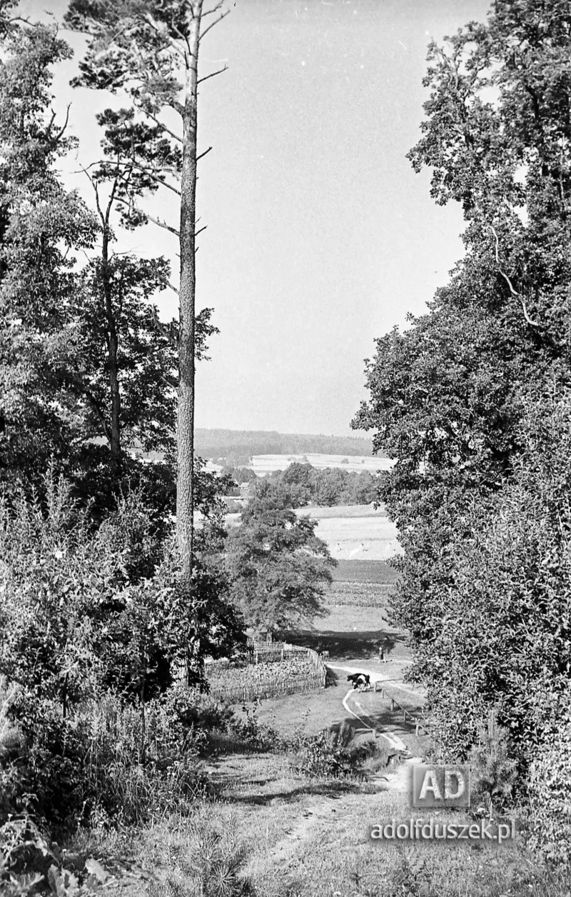 1953-Roztocze-Lubelskie-039