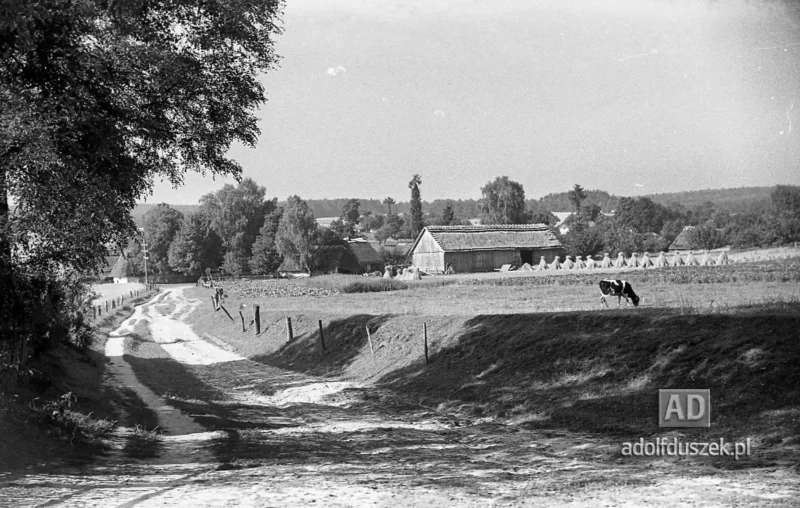 1953-Roztocze-Lubelskie-040