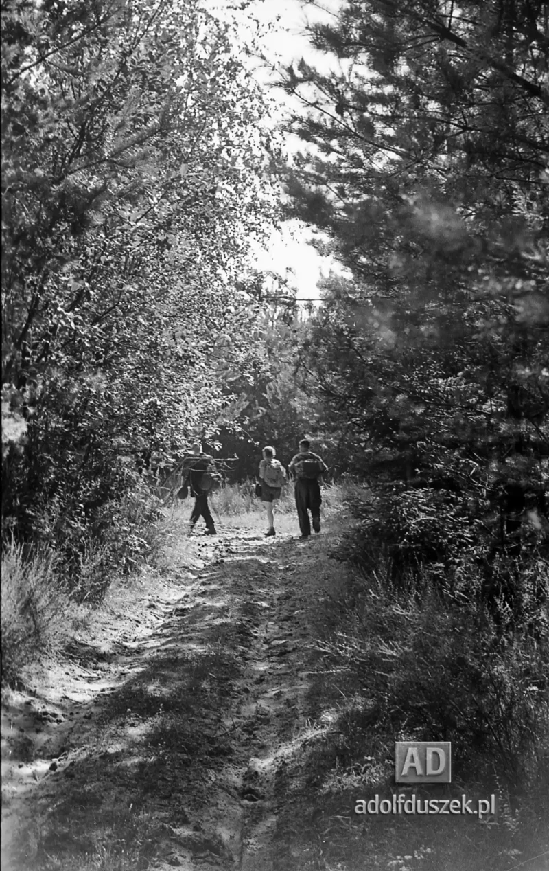 1953-Roztocze-Lubelskie-041