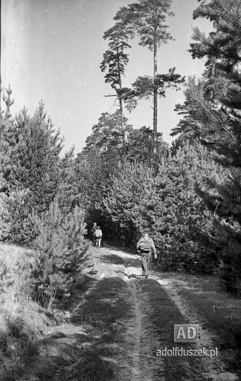 1953-Roztocze-Lubelskie-043