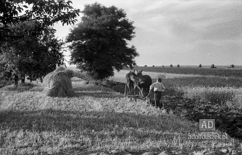 1953-Roztocze-Lubelskie-045