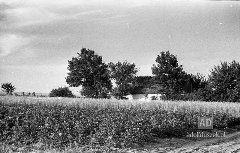 1953-Roztocze-Lubelskie-046