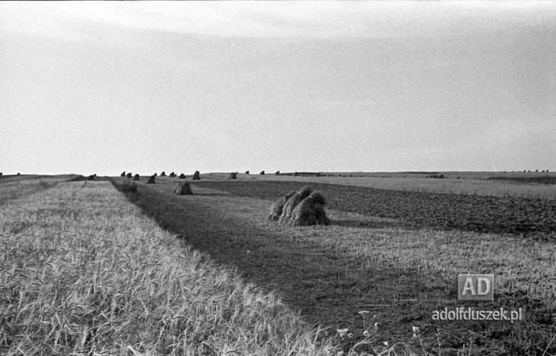 1953-Roztocze-Lubelskie-048