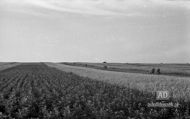 1953-Roztocze-Lubelskie-050