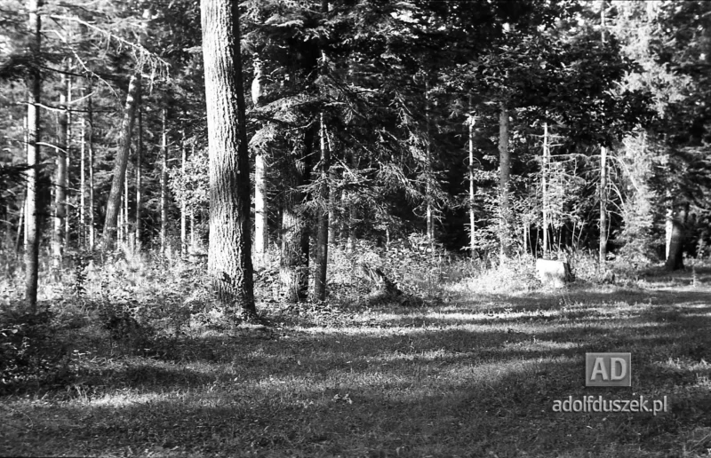 1953-Roztocze-Lubelskie-055