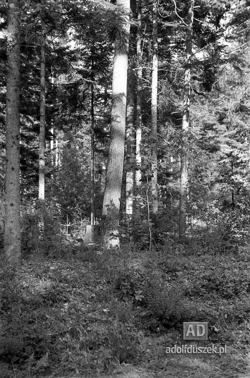 1953-Roztocze-Lubelskie-056