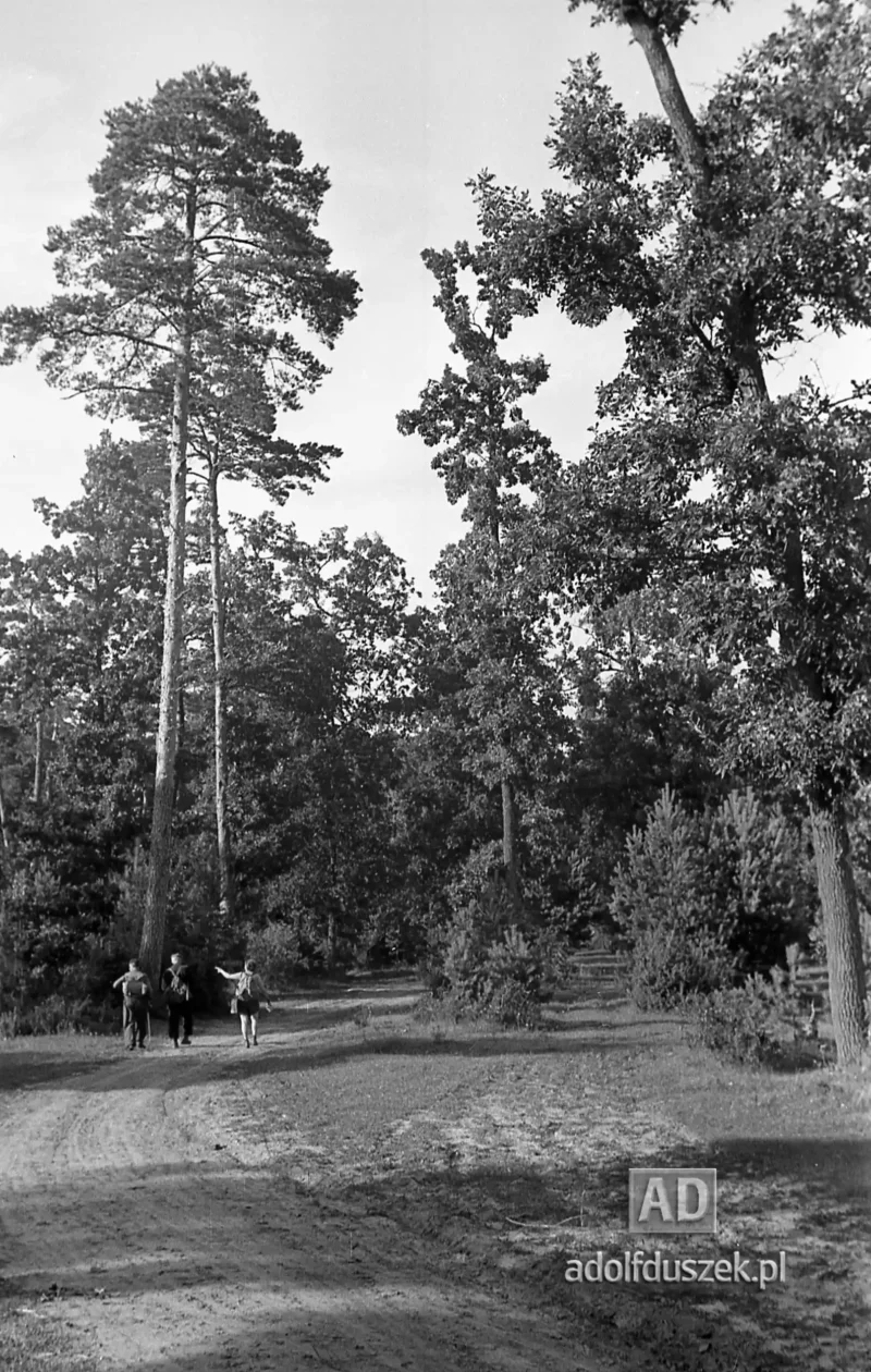 1953-Roztocze-Lubelskie-057