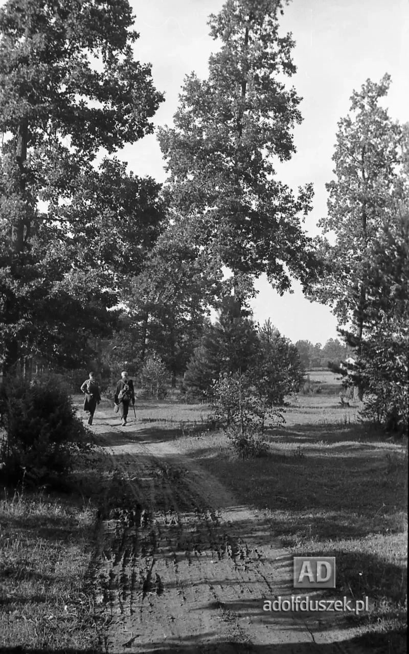 1953-Roztocze-Lubelskie-058