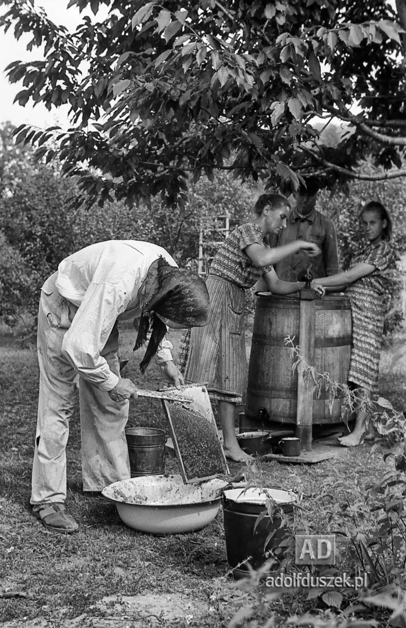 1953-Roztocze-Lubelskie-073