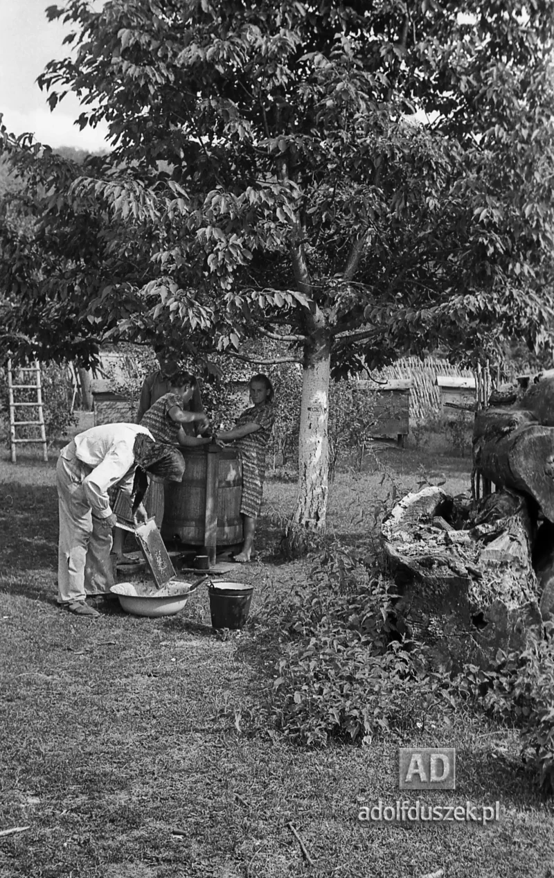 1953-Roztocze-Lubelskie-074