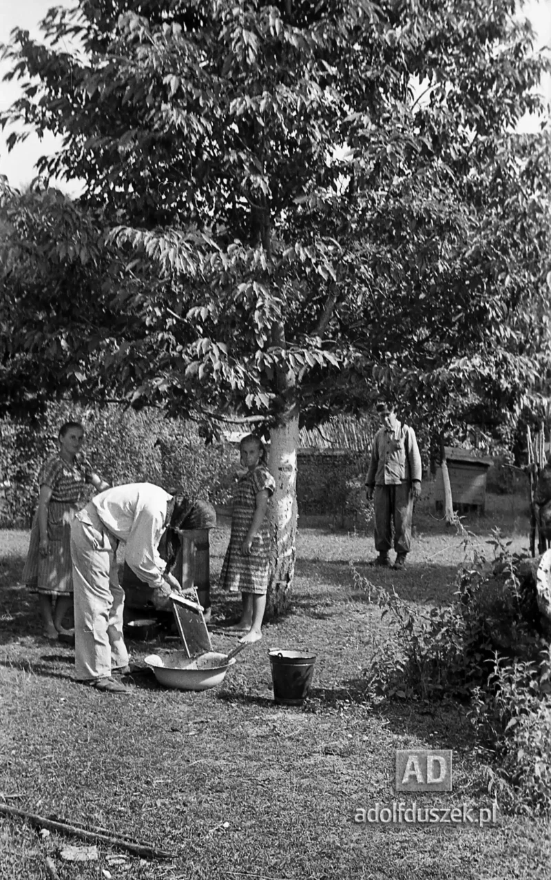 1953-Roztocze-Lubelskie-075