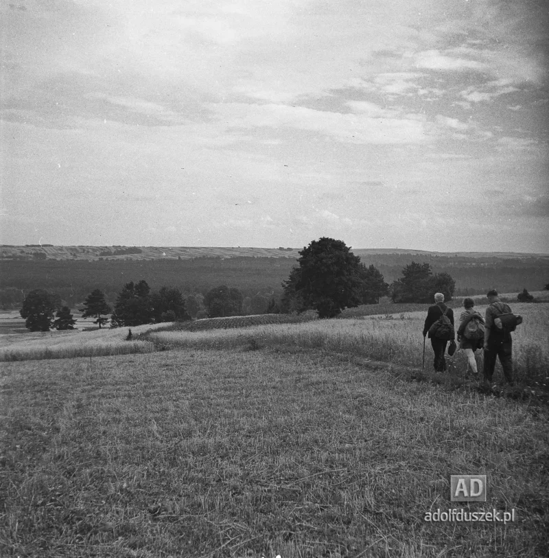 1953-Roztocze-Lubelskie-081