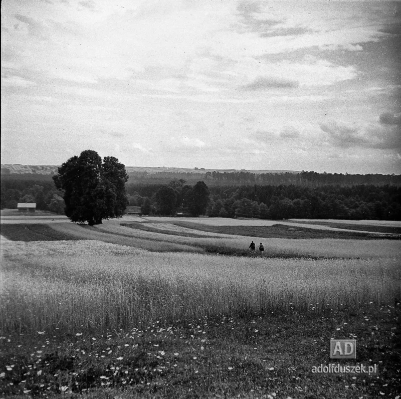 1953-Roztocze-Lubelskie-082