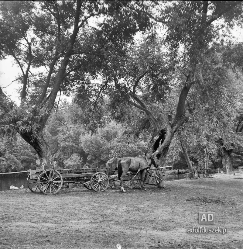 1953-Roztocze-Lubelskie-085