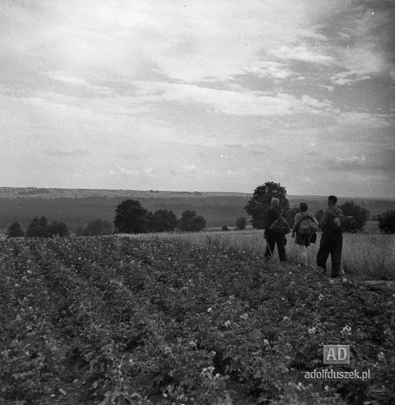1953-Roztocze-Lubelskie-086