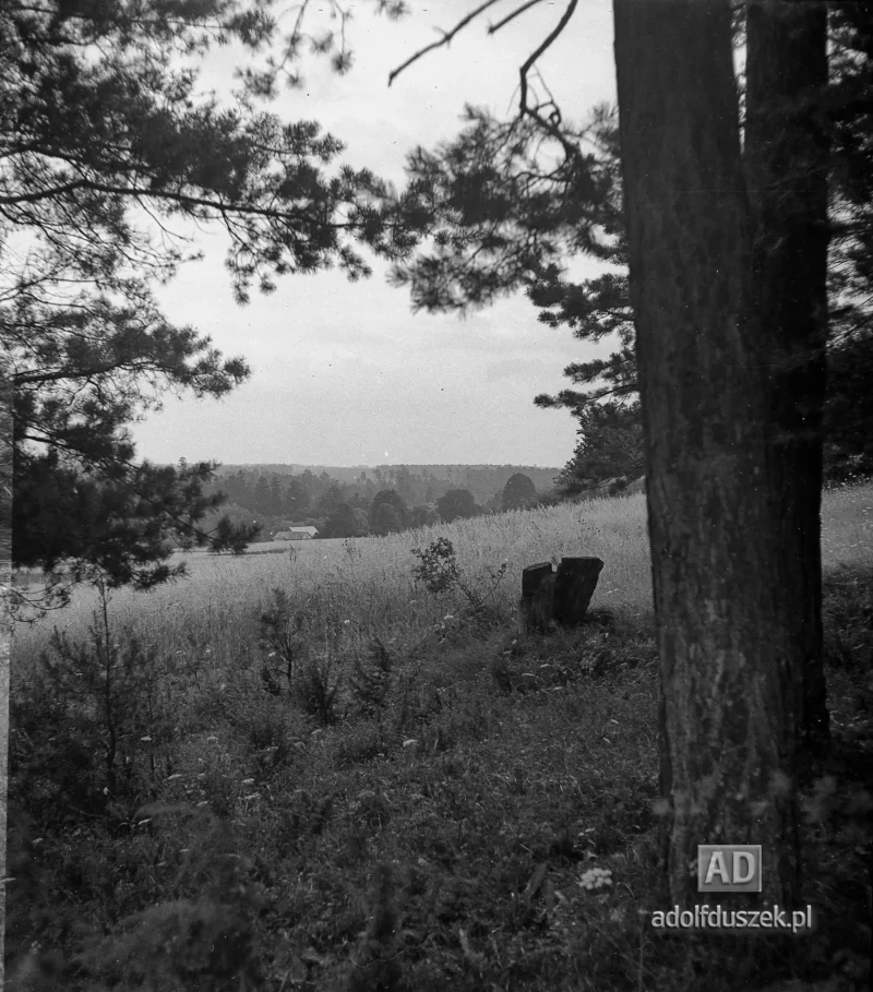 1953-Roztocze-Lubelskie-087