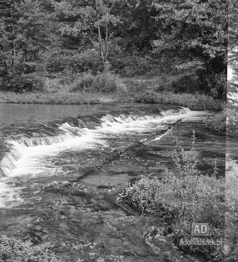 1953-Roztocze-Lubelskie-088
