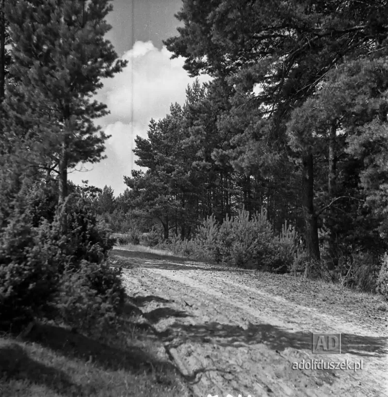 1955-Kaszuby-005