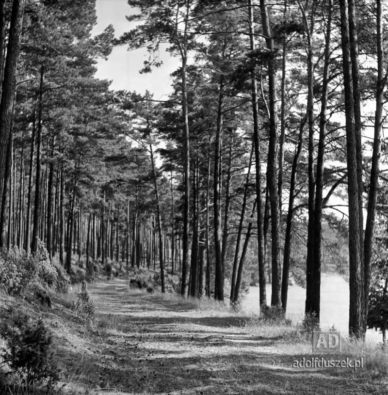 1955-Kaszuby-009
