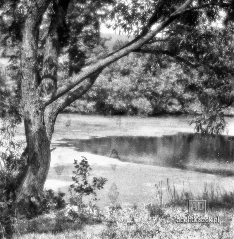 1955-Kaszuby-019