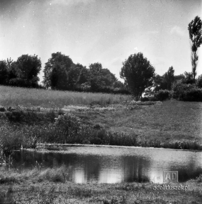 1955-Kaszuby-021