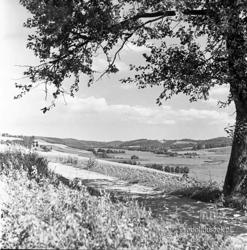 1955-Kaszuby-031